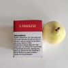 LMHRZH Artificial Fruit Fake Fruit Artificial Pears Decorative Fruit